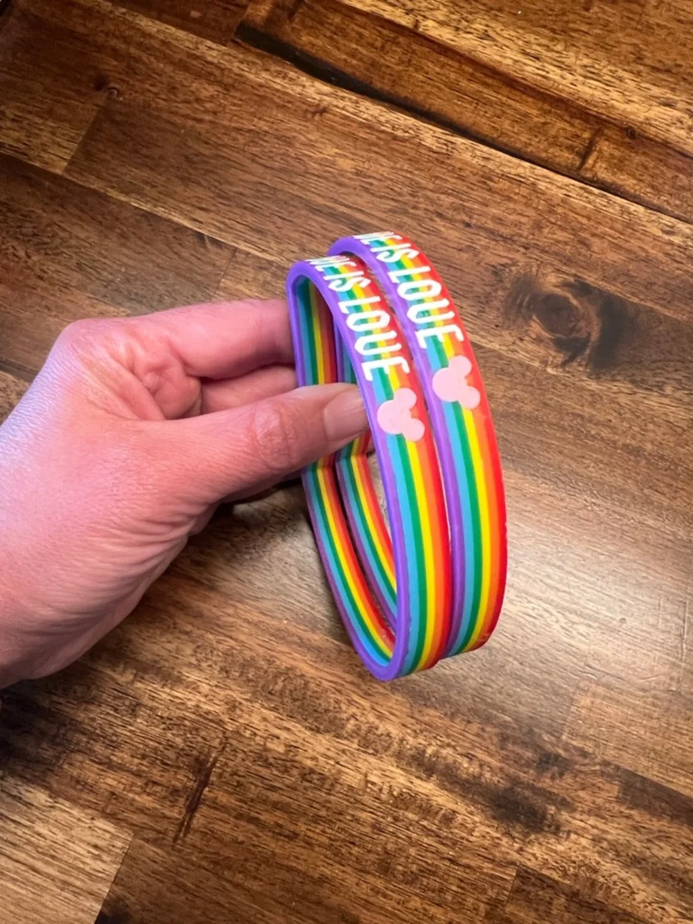 Disney Factory 55 / Aloha Interchangeable Velcro Love is Love Pride Rainbow Ears